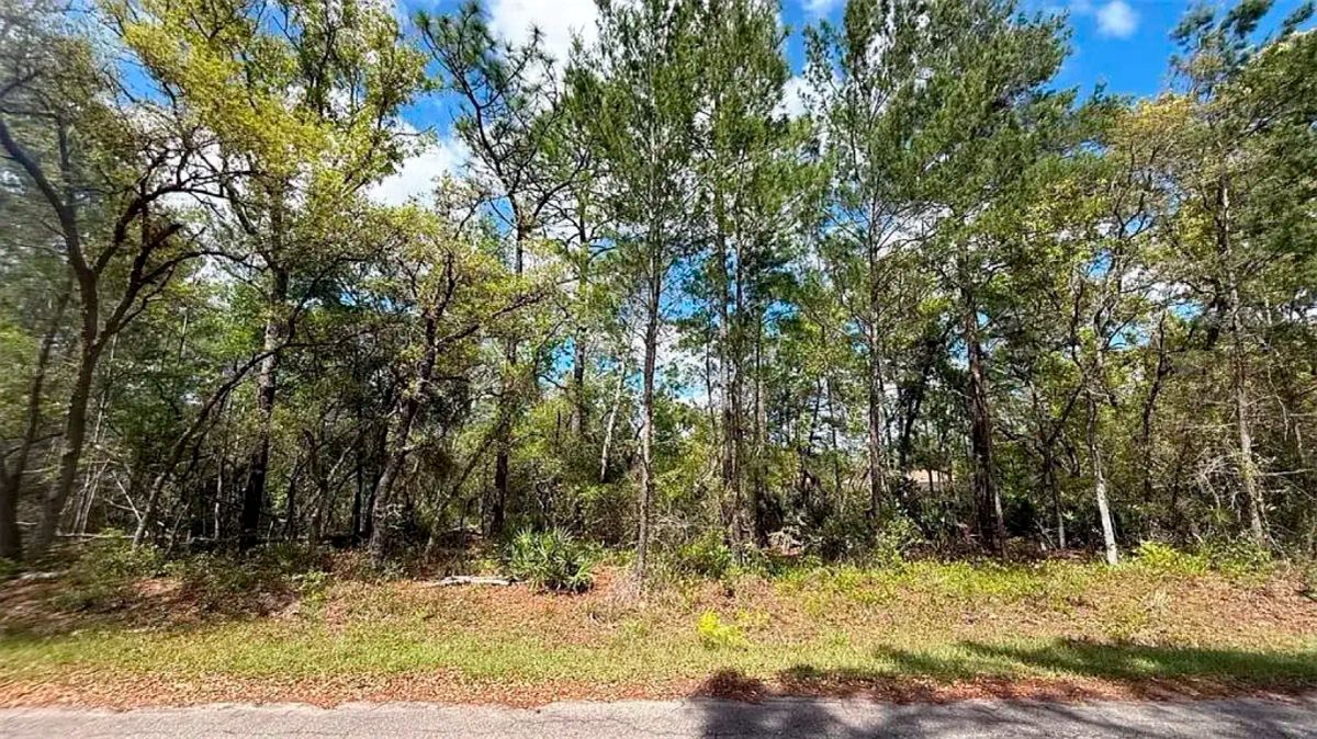 Decorative background for Set Back yet well-connected ¼ ac Lot close to the Ocklawaha River image 9