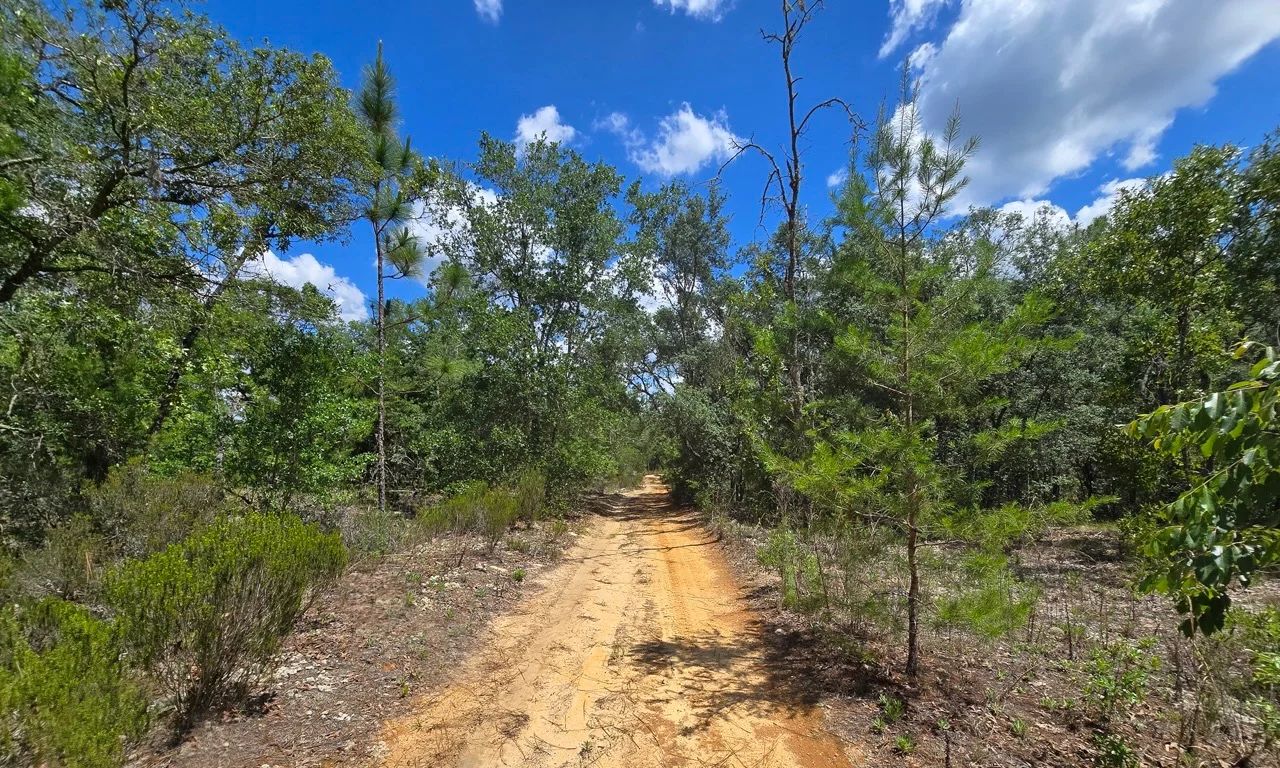SPACE! Your Retreat close to Mariner Lake in Putnam County, FL