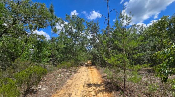 SPACE! Your Retreat close to Mariner Lake in Putnam County, FL