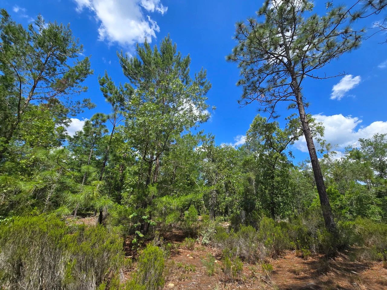 SPACE! Your Retreat close to Mariner Lake in Putnam County, FL
