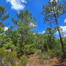 SPACE! Your Retreat close to Mariner Lake in Putnam County, FL