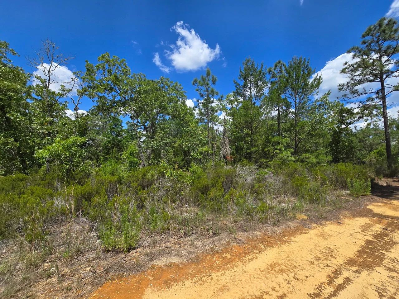 SPACE! Your Retreat close to Mariner Lake in Putnam County, FL