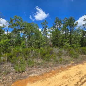 SPACE! Your Retreat close to Mariner Lake in Putnam County, FL