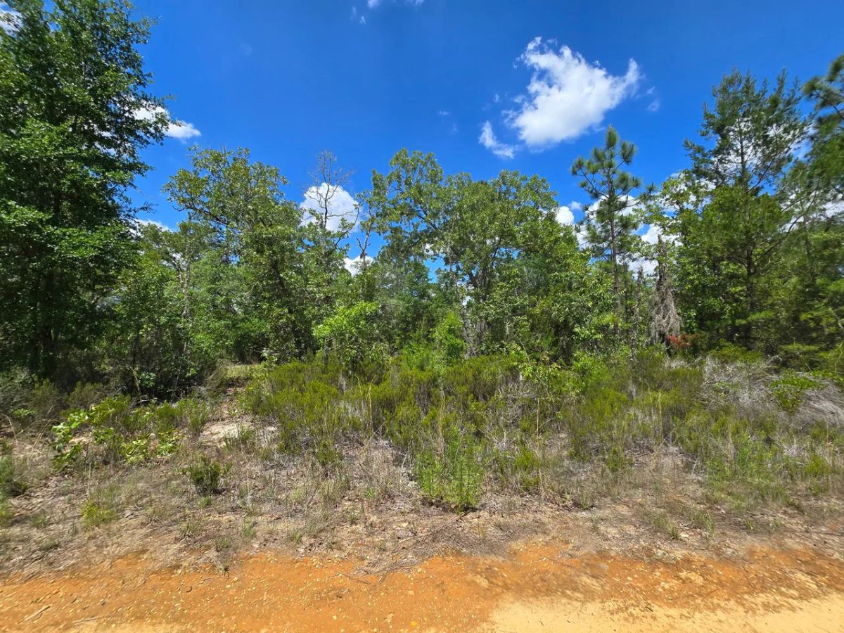 SPACE! Your Retreat close to Mariner Lake - Main image