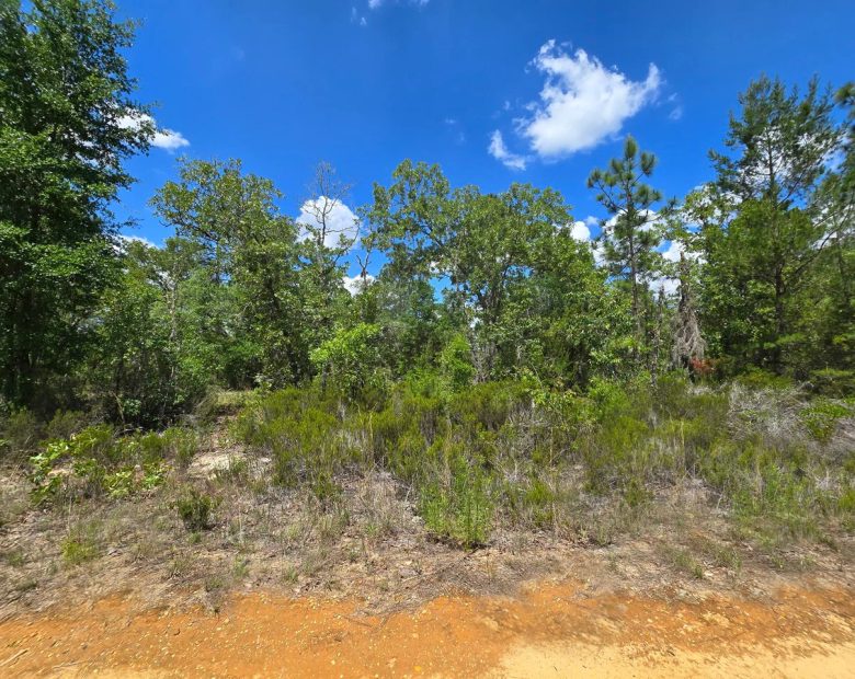 SPACE! Your Retreat close to Mariner Lake in Putnam County, FL