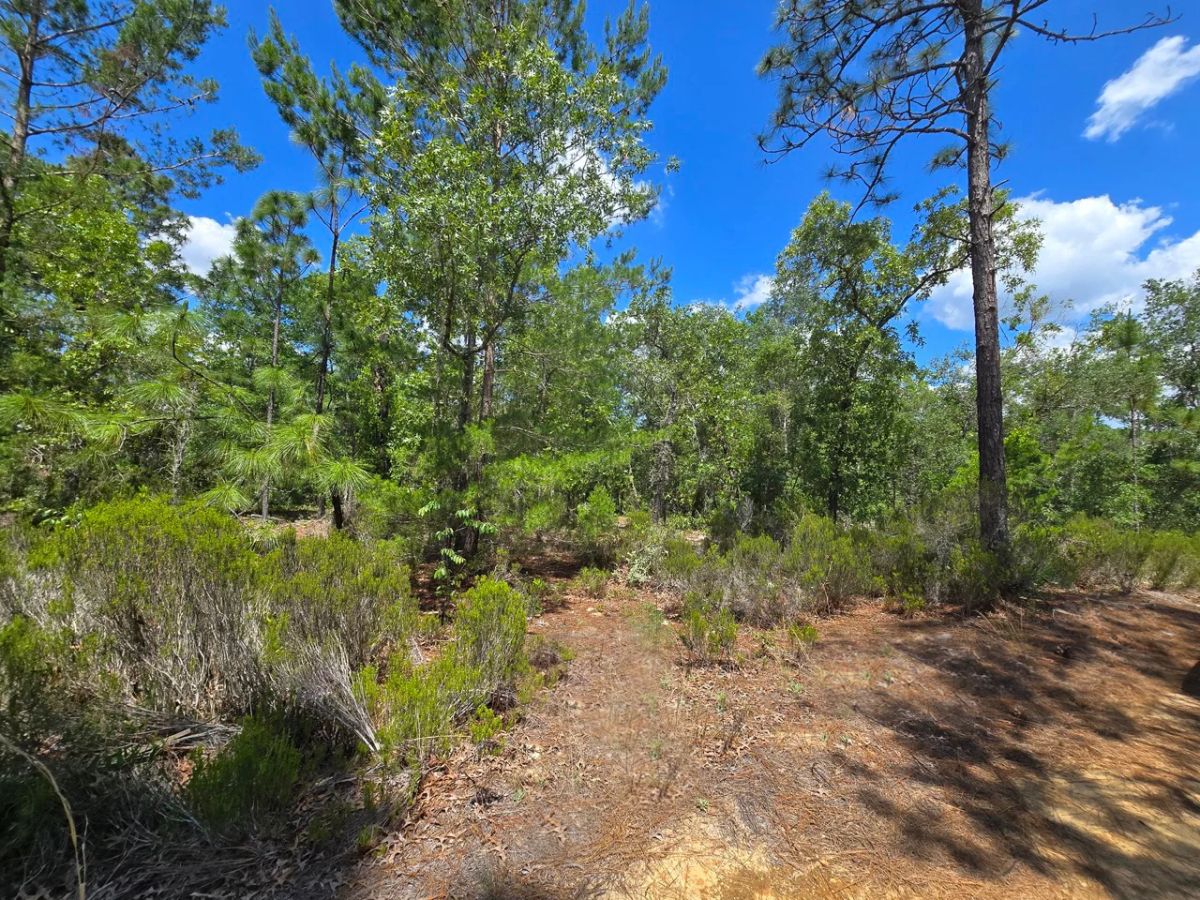 Decorative background for SPACE! Your Retreat close to Mariner Lake image 6