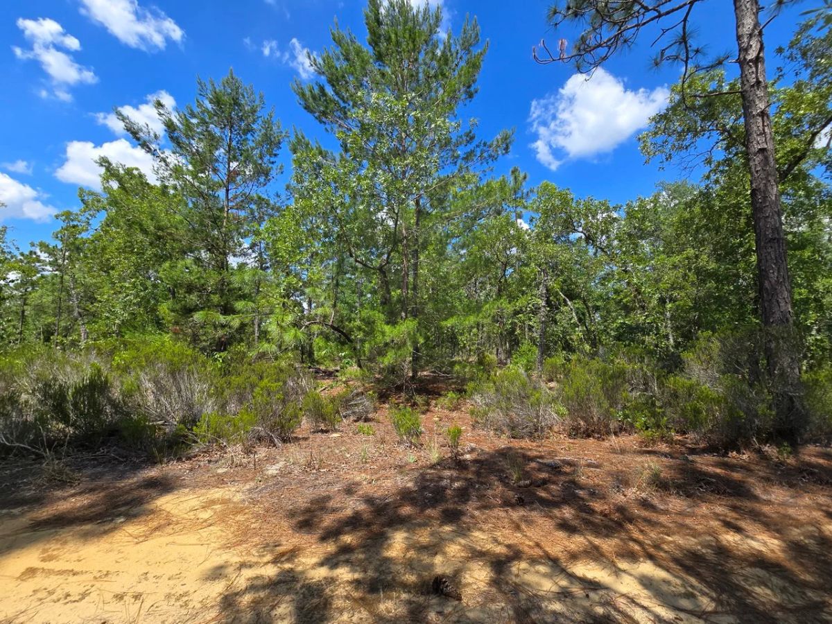 Decorative background for SPACE! Your Retreat close to Mariner Lake image 7