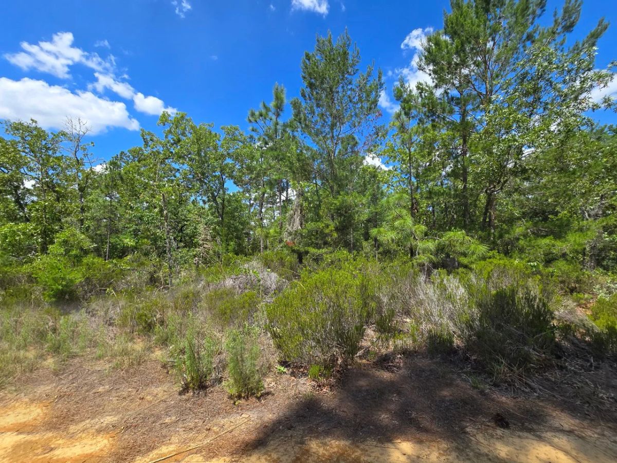 Decorative background for SPACE! Your Retreat close to Mariner Lake image 11