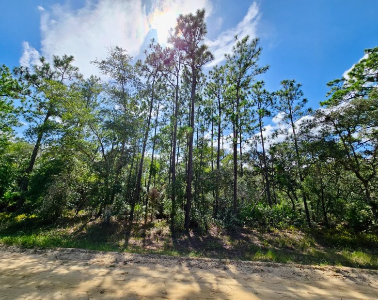 SPACE! Beautiful Double Lot in Putnam County, FL