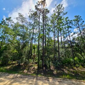 SPACE! Beautiful Double Lot in Putnam County, FL