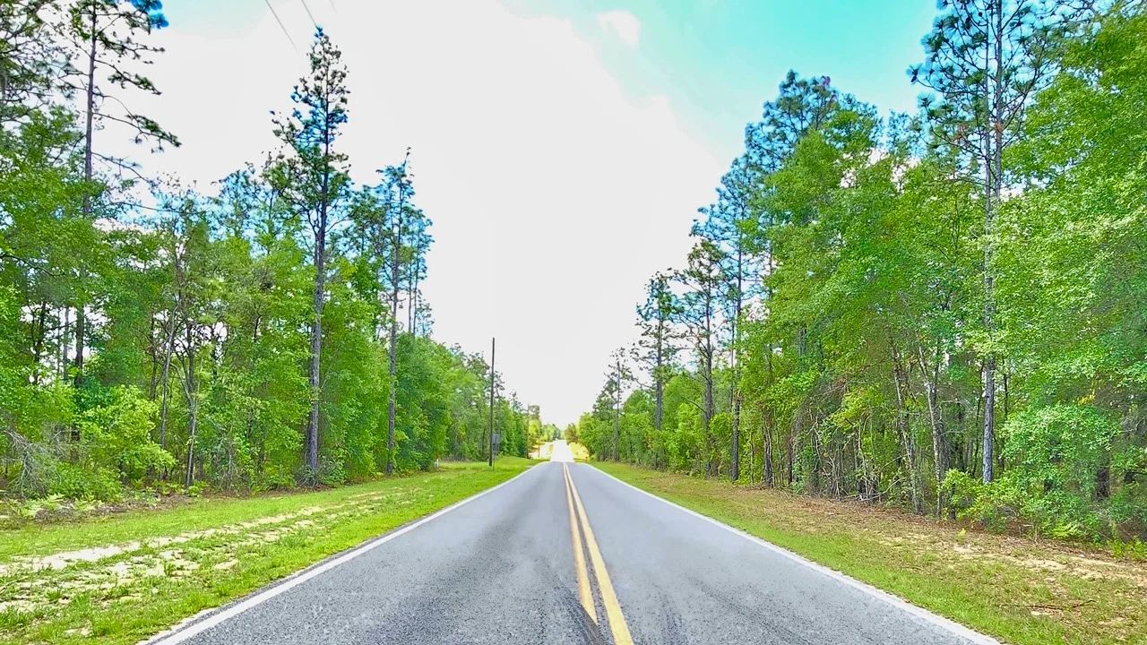 Beautiful Lot at Paved Road in Putnam County, FL