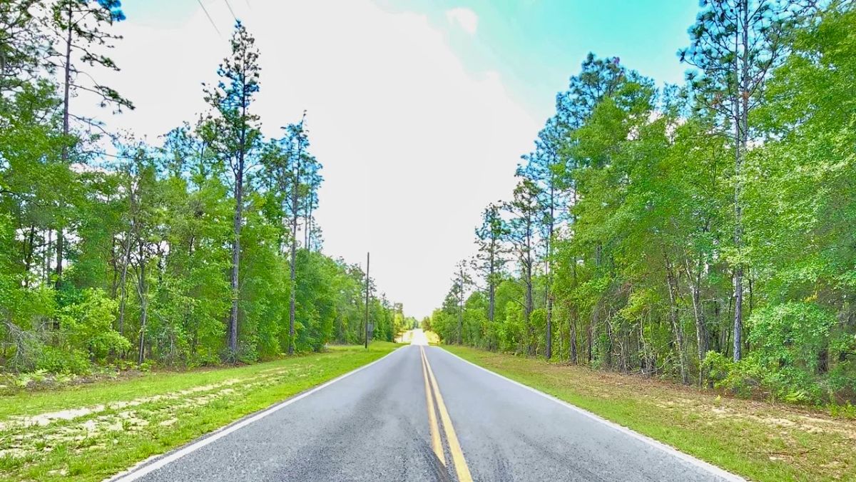 Beautiful Lot at Paved Road - Image 2