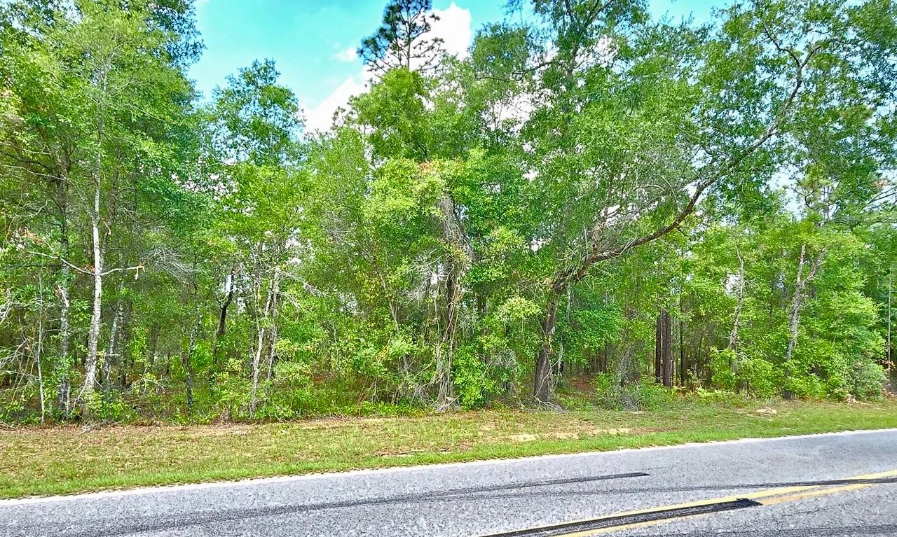 Beautiful Lot at Paved Road in Putnam County, FL