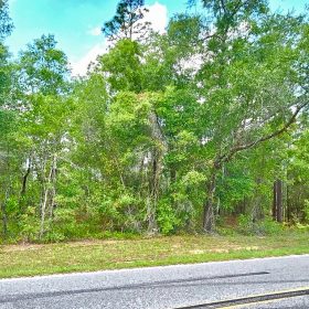 Beautiful Lot at Paved Road in Putnam County, FL