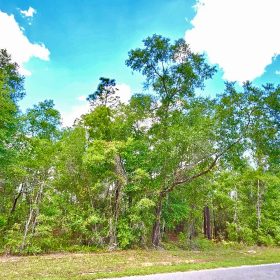 Beautiful Lot at Paved Road in Putnam County, FL