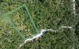 Residential private land by Suwannee River - Image 2