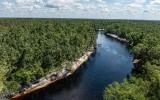 Residential private land by Suwannee River - Image 3