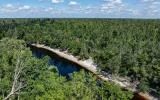 Residential private land by Suwannee River - Image 4