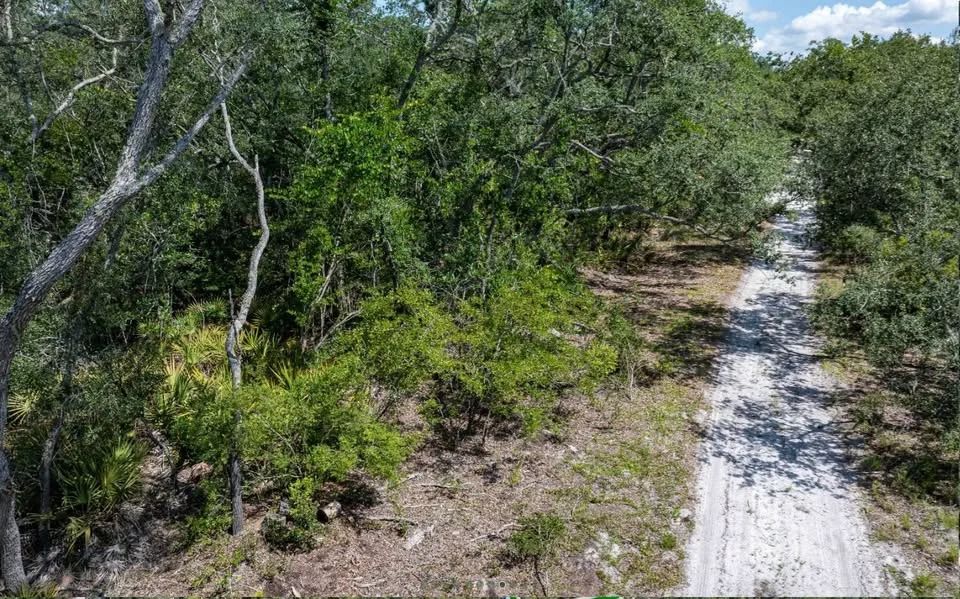 Suwannee River - Private, Affordable Land! - Image 4