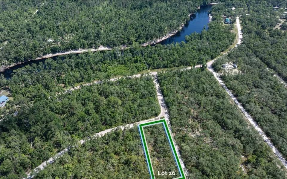 Decorative background for Suwannee River - Private, Affordable Land! image 6