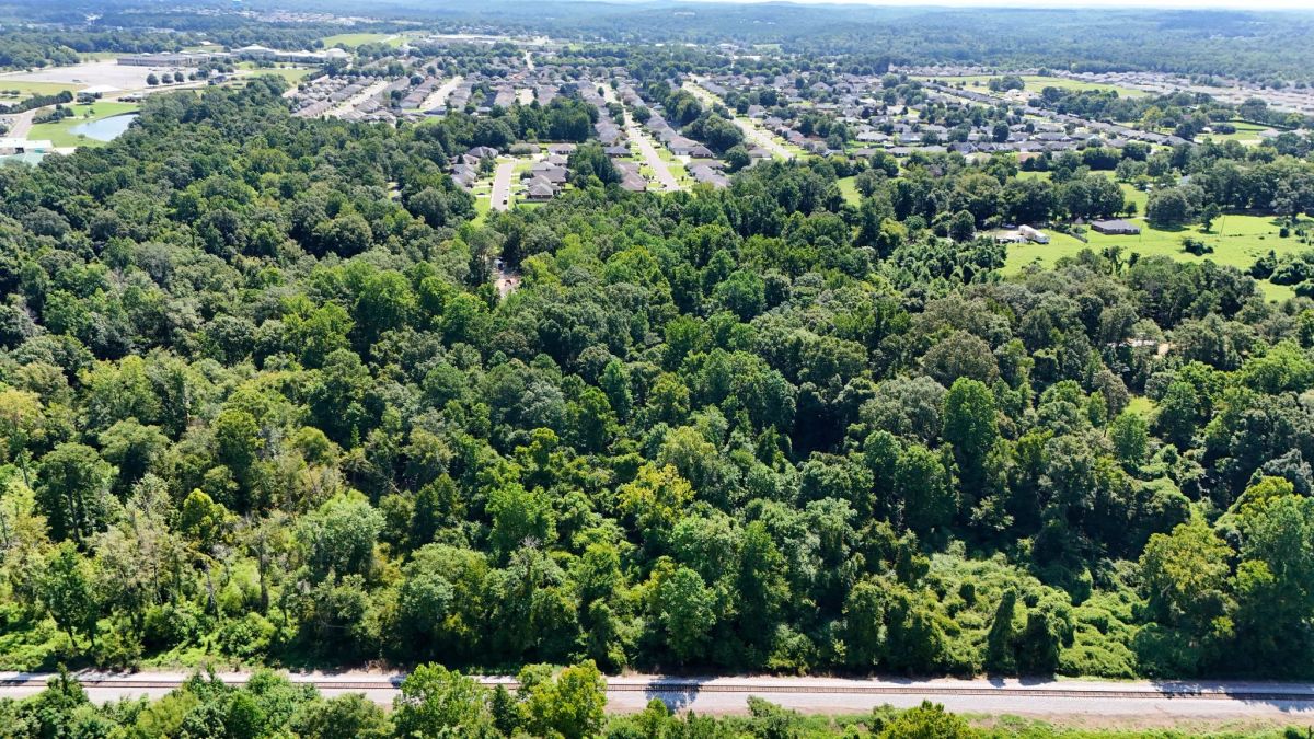 4.40 Wooded Acres Set in Tuscaloosa, Alabama with Creek, Utilities, & Safe Family Cul-de-Sac Living - Image 3