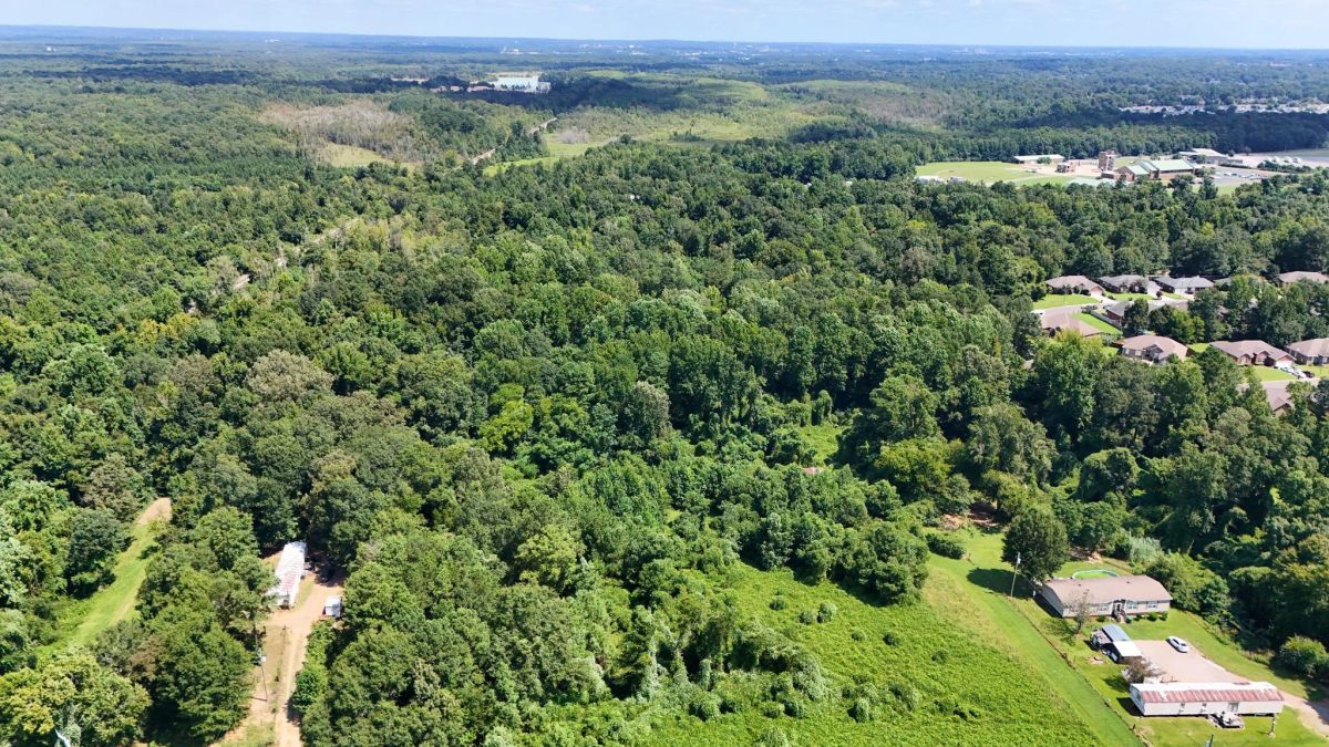 4.40 Wooded Acres Set in Tuscaloosa, Alabama with Creek, Utilities, & Safe Family Cul-de-Sac Living - Image 4