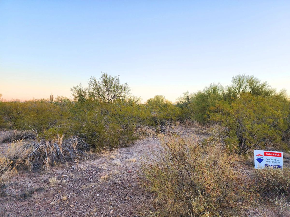 Decorative background for Desert Vibe in Pinal AZ, 15.56 Acres of Flat Buildable Land with Power & Easy Highway Access image 9