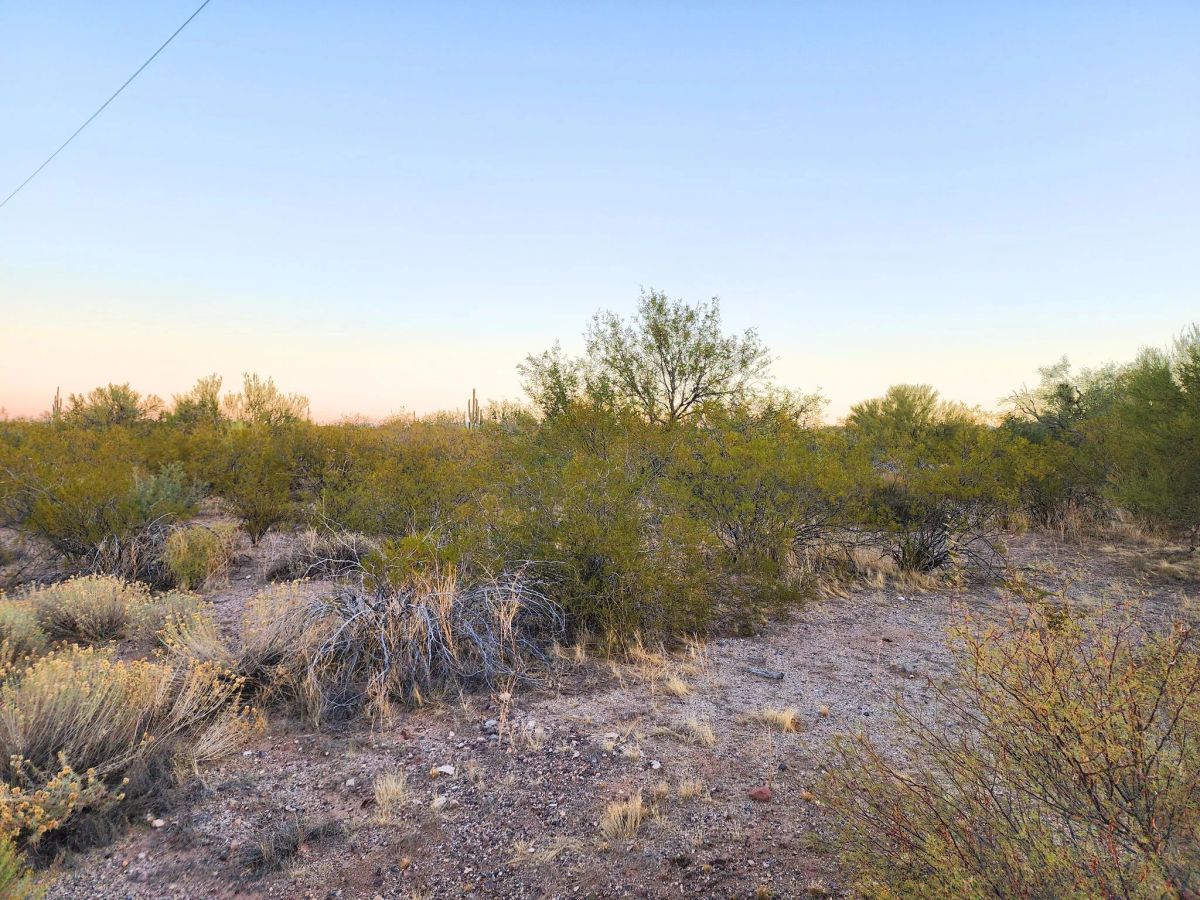 Decorative background for Desert Vibe in Pinal AZ, 15.56 Acres of Flat Buildable Land with Power & Easy Highway Access image 8
