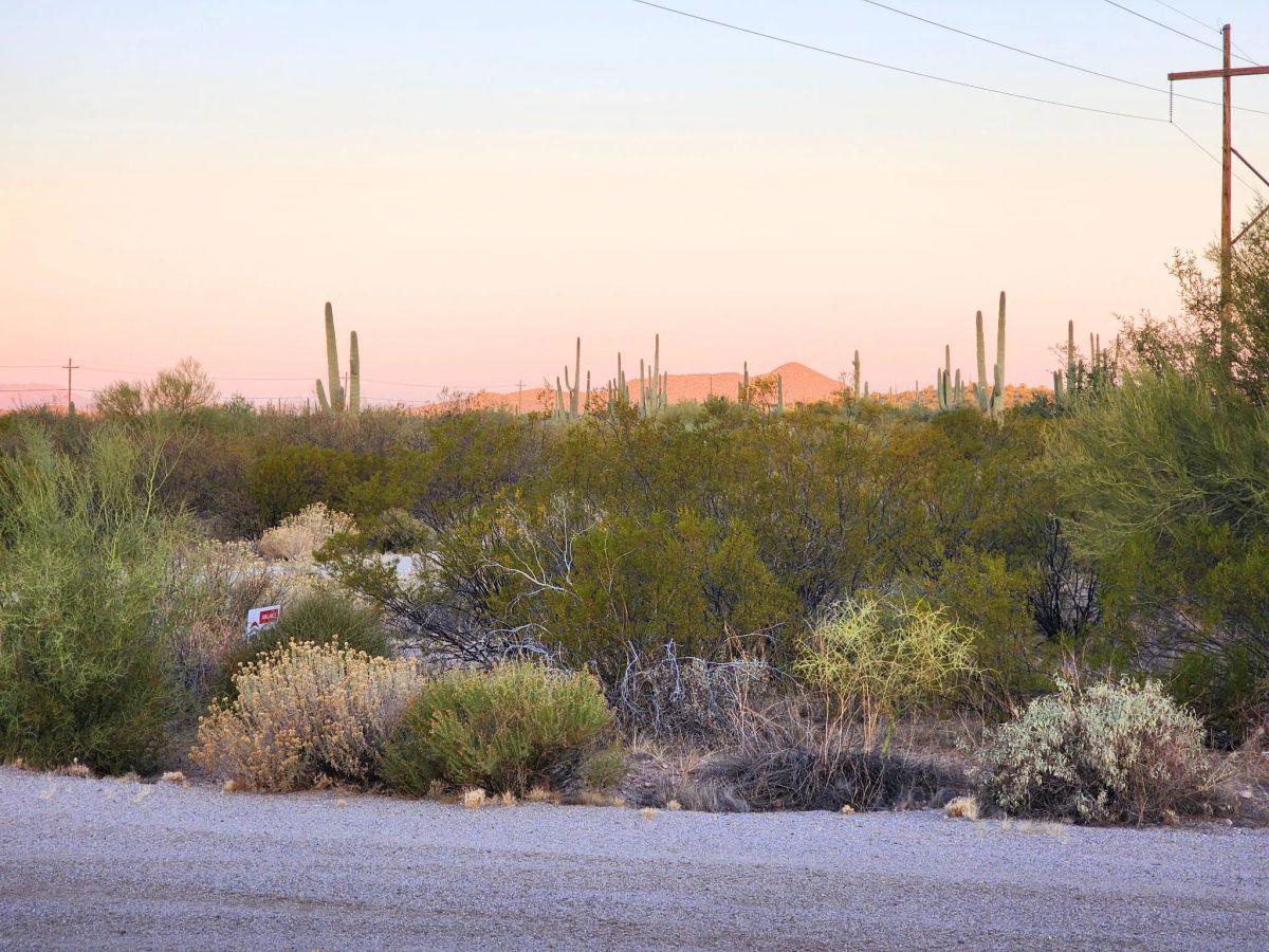 Decorative background for Desert Vibe in Pinal AZ, 15.56 Acres of Flat Buildable Land with Power & Easy Highway Access image 6