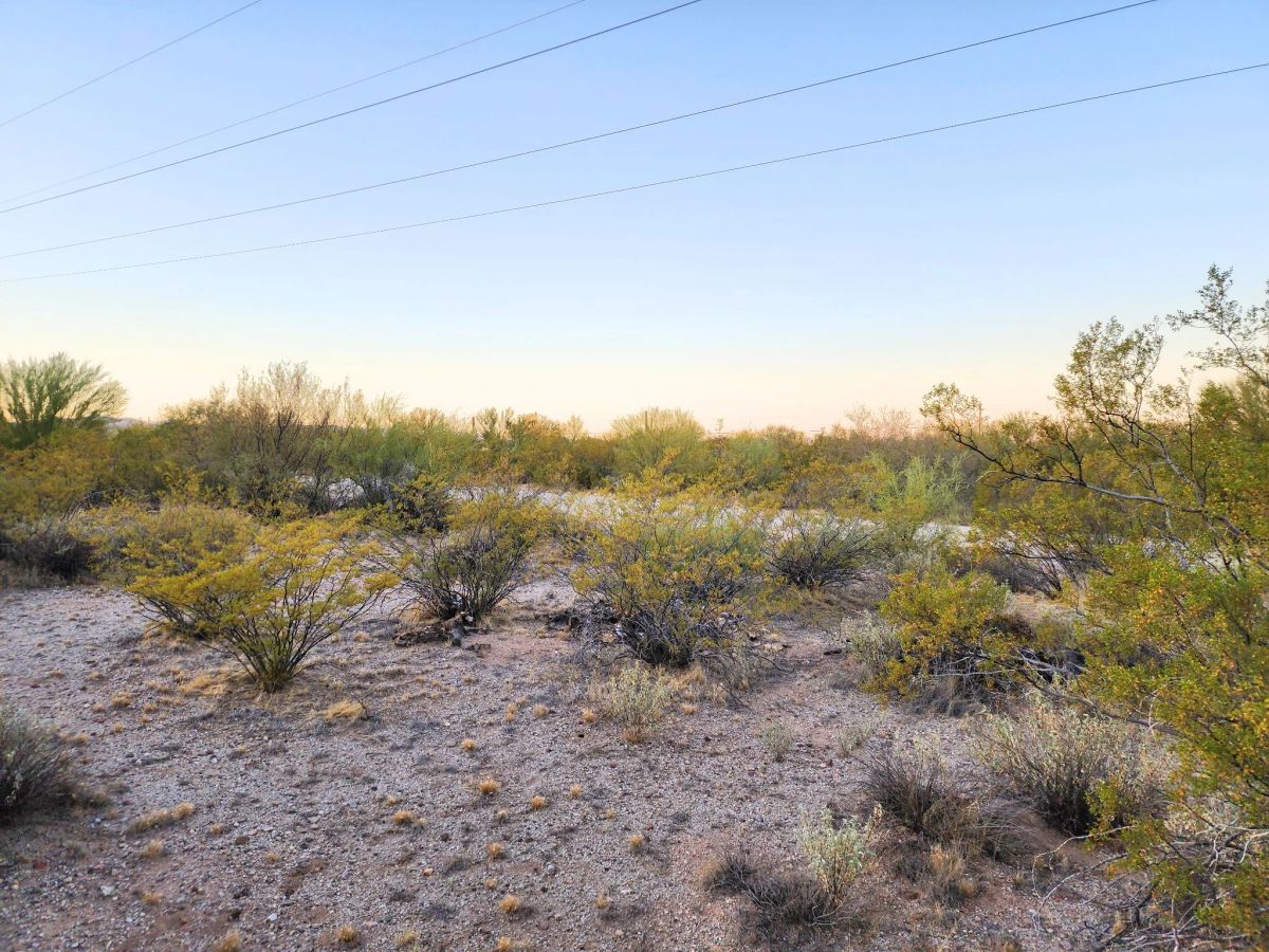 Decorative background for Desert Vibe in Pinal AZ, 15.56 Acres of Flat Buildable Land with Power & Easy Highway Access image 7
