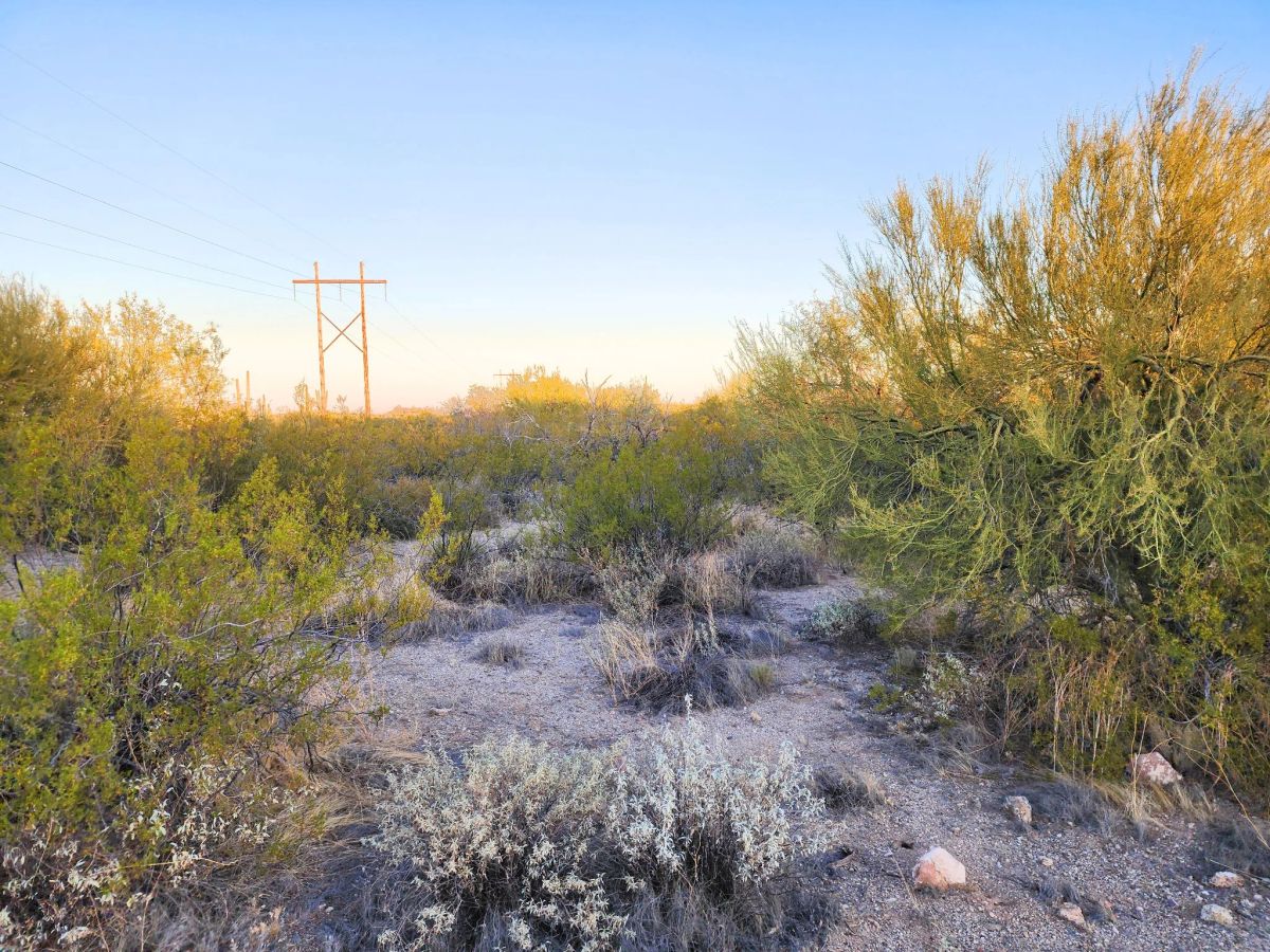 Decorative background for Desert Vibe in Pinal AZ, 15.56 Acres of Flat Buildable Land with Power & Easy Highway Access image 10