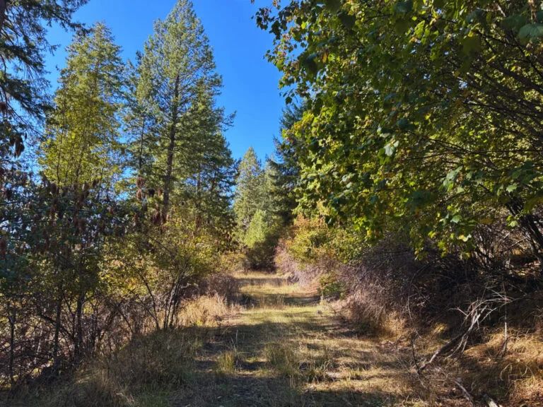 Lakeside Living in Bayview – 0.55 Acres with Power & City Water in Kootenai County, ID