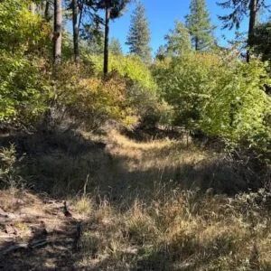 Lakeside Living in Bayview – 0.55 Acres with Power & City Water in Kootenai County, ID