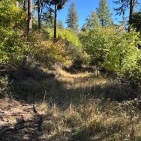 Lakeside Living in Bayview – 0.55 Acres with Power & City Water in Kootenai County, ID