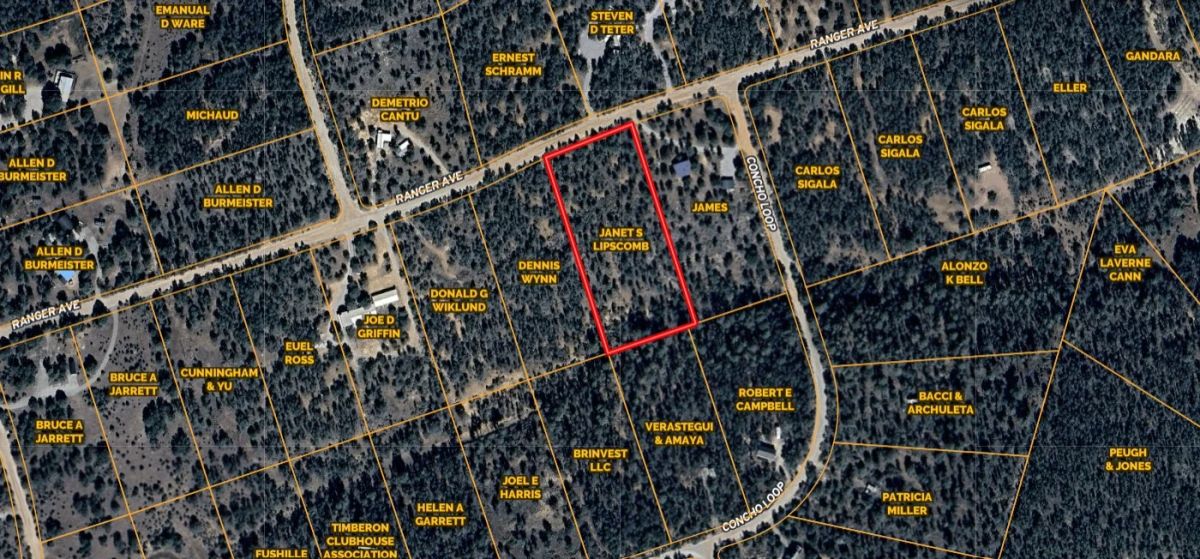 Decorative background for Fall in Love with Mountain Living – 2.49 Acres in Timberon, NM w/ Utilities🔌for Hassle-Free Build & Quiet Retreat image 14