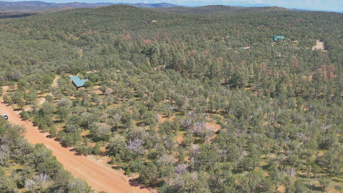 Fall in Love with Mountain Living – 2.49 Acres in Timberon, NM w/ Utilities🔌for Hassle-Free Build & Quiet Retreat - Image 2