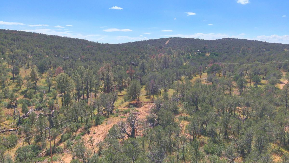 Fall in Love with Mountain Living – 2.49 Acres in Timberon, NM w/ Utilities🔌for Hassle-Free Build & Quiet Retreat - Image 3