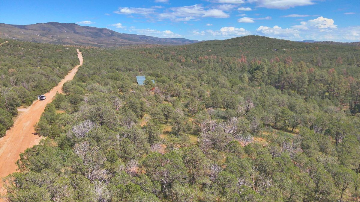 Decorative background for Fall in Love with Mountain Living – 2.49 Acres in Timberon, NM w/ Utilities🔌for Hassle-Free Build & Quiet Retreat image 6