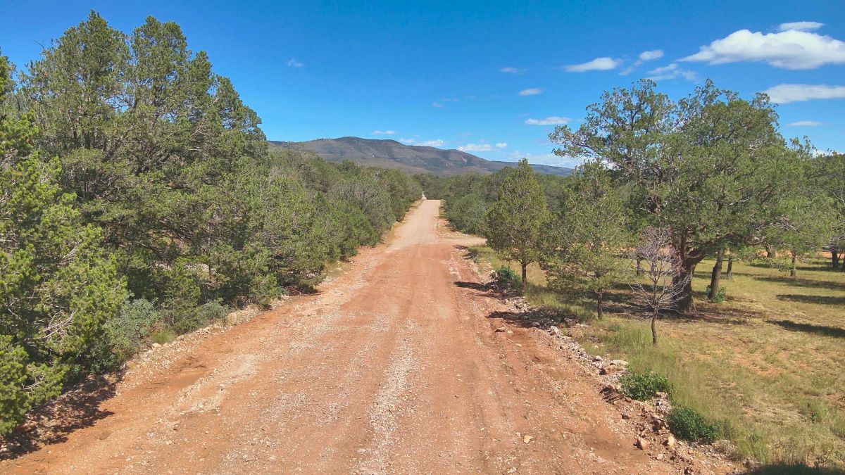 Decorative background for Fall in Love with Mountain Living – 2.49 Acres in Timberon, NM w/ Utilities🔌for Hassle-Free Build & Quiet Retreat image 11