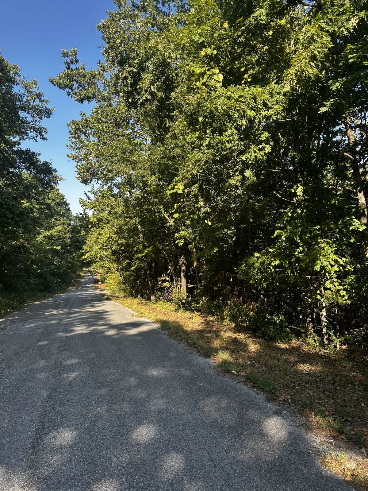Decorative background for View of a Lifetime! paved road, power & water image 6