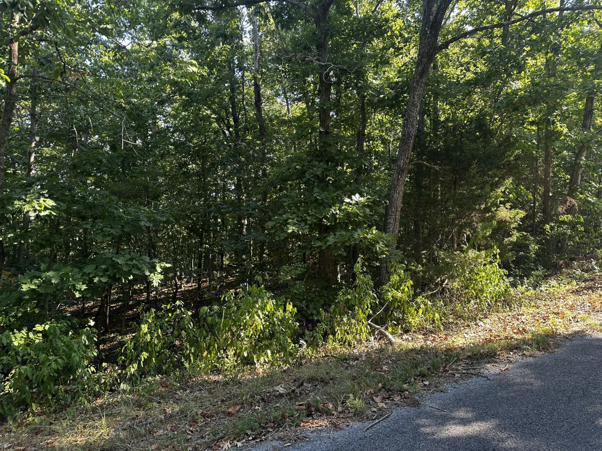Decorative background for View of a Lifetime! paved road, power & water image 9