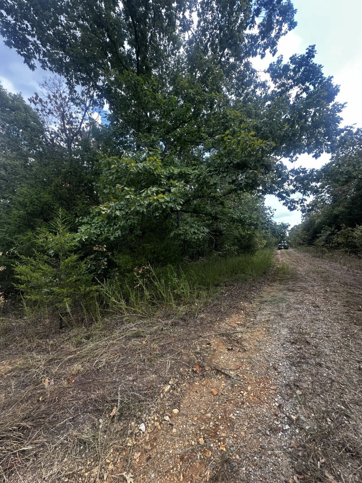 Decorative background for So much Nature! No HOA - A quiet getaway image 7
