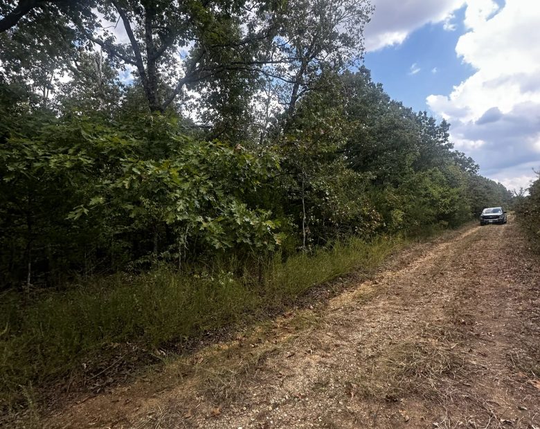 So much Nature! No HOA - A quiet getaway in Izard County, AR
