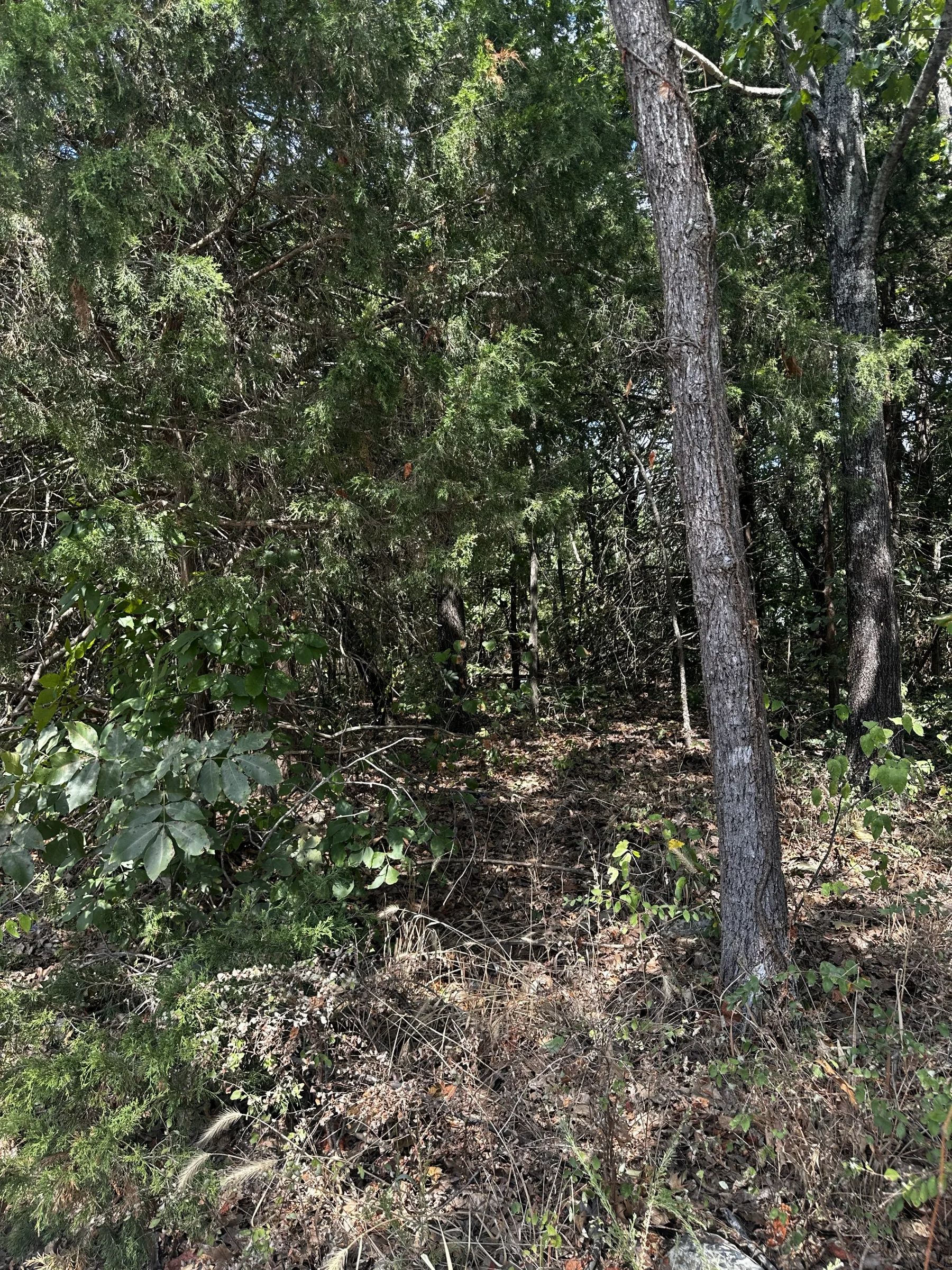 No HOA - Mobile Home Lot in Izard County, AR