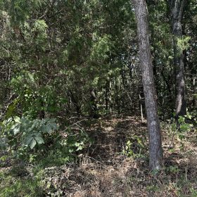 No HOA - Mobile Home Lot in Izard County, AR