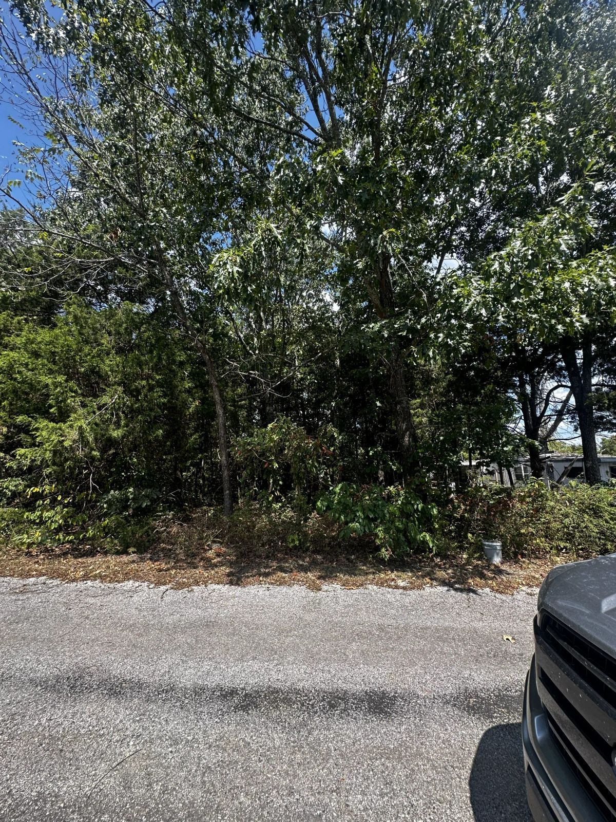 Decorative background for No HOA - Mobile Home Lot image 5