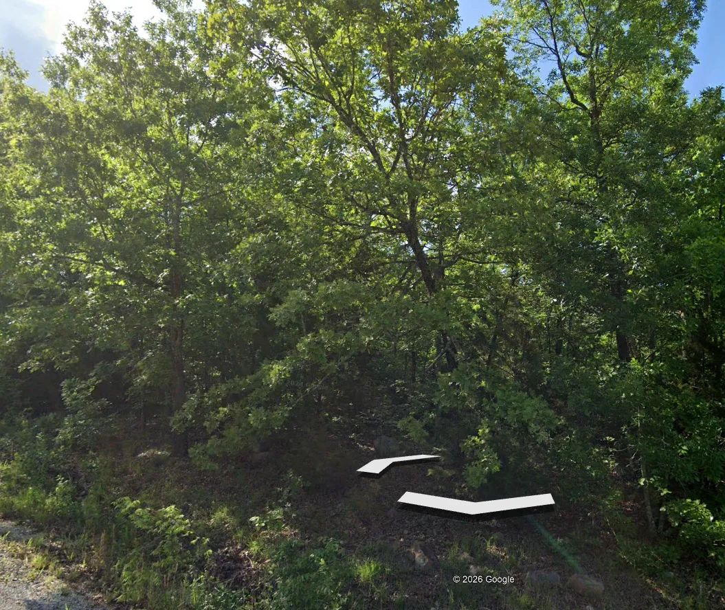 Decorative background for 3 adjacent lots to spread out - 1.2 acres of Forest image 5