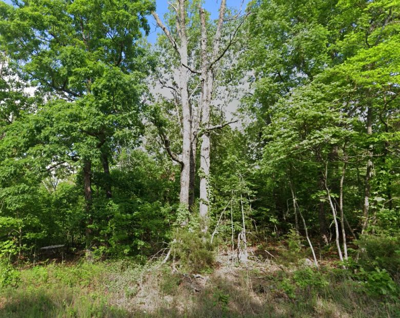 3 adjacent lots to spread out - 1.2 acres of Forest in Izard County, AR