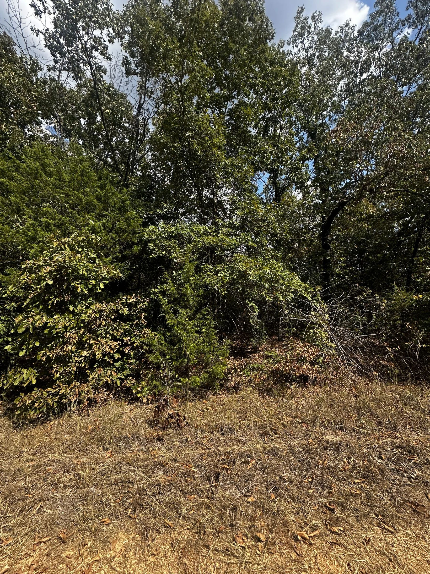 2x Adjacent lots - Every day here is VACAY-day in Izard County, AR