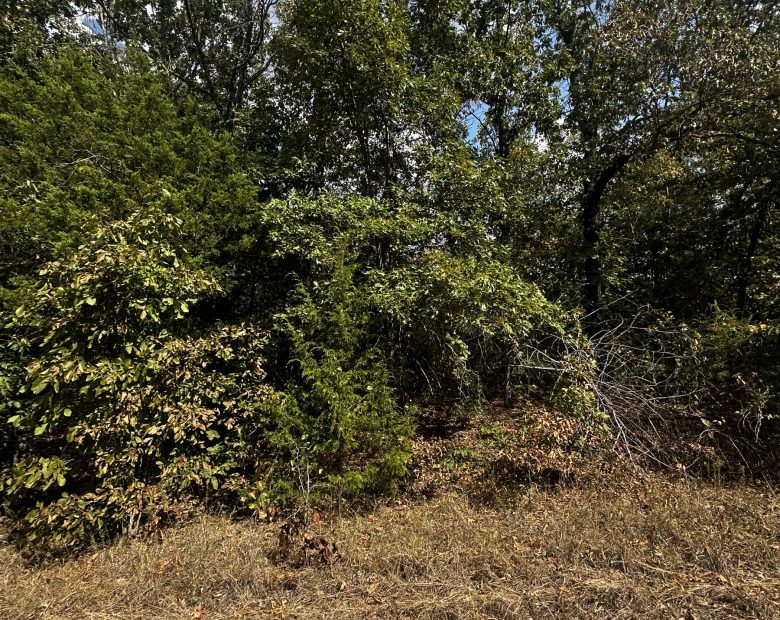 2x Adjacent lots - Every day here is VACAY-day in Izard County, AR